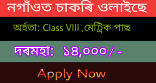 District Social Welfare Officer Nagaon Recruitment 2019 Various post