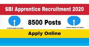 SBI Apprentice Recruitment 2020