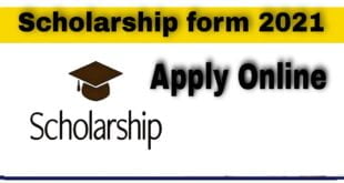 scholarship online