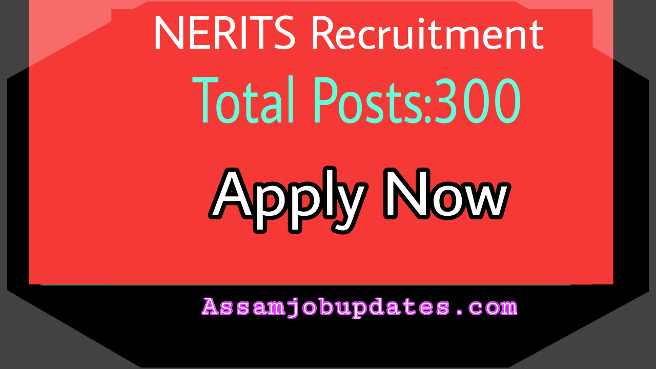 NERITS Recruitment