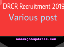 drcr recruitment 219