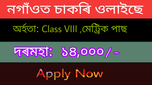 District Social Welfare Officer Nagaon Recruitment 2019 Various post