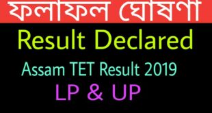 Assam TET Result 2019