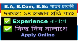 Assam Secretariat Recruitment 86 computer vacancy