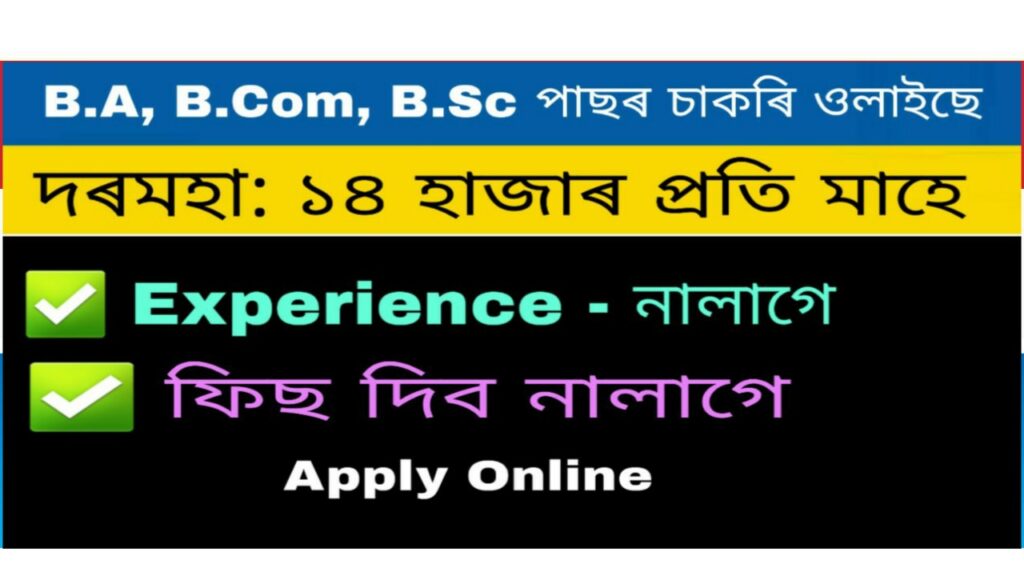 Social Welfare Recruitment 64 LDA Cum Typist vacancy