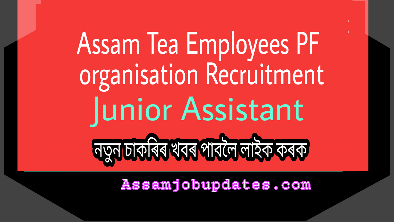 Assam Tea Employees PF Organization Recruitment 2019 Total 33 posts Junior Assistant,Assistant Found Control Officer